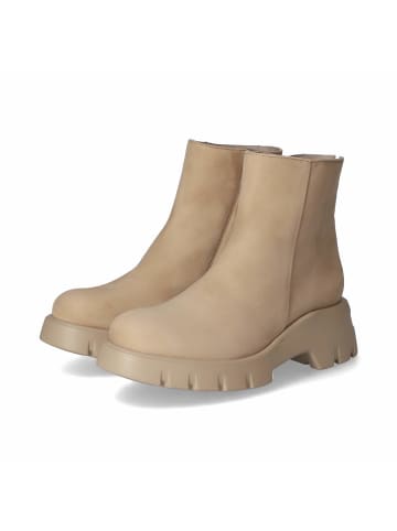 Paul Green Stiefeletten in Beige