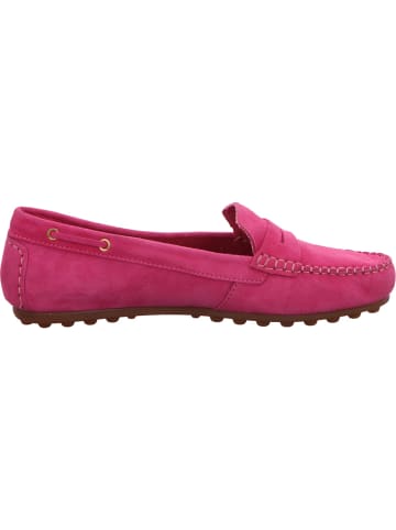 Bagatt Slipper in rose