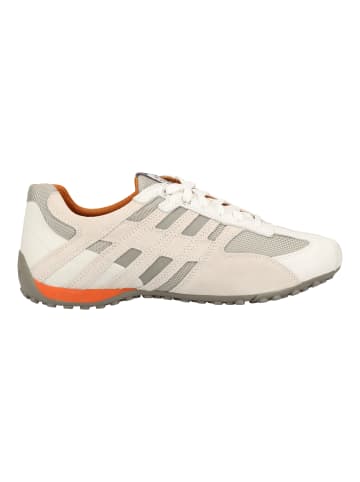 Geox Sneaker in Weiß/Grau