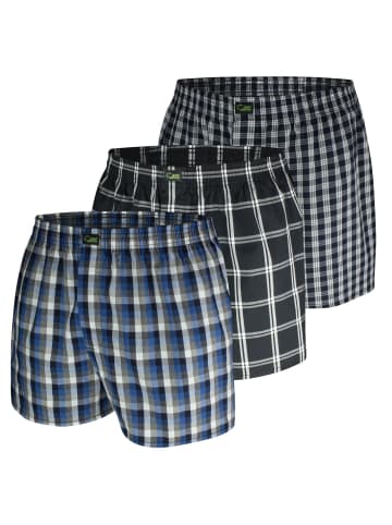 green panther Webboxershorts 3er Pack in Schwarz / Blau