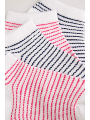 Coccodrillo Socken in bunt