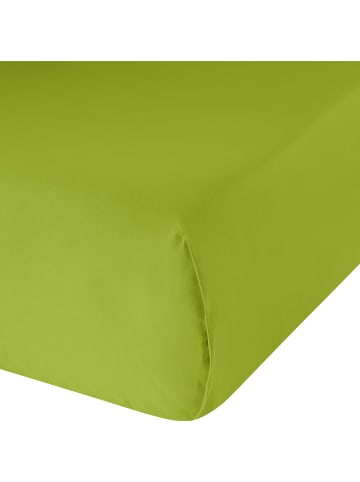 Erwin Müller Haustuch, Renforcé Bettlaken Würzburg in apfelgrün