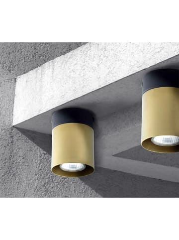 Licht-Erlebnisse Deckenlampe Ø 8 x (H)10.5 cm in Schwarz Gold