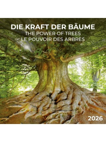 TUSHITA Kalender - Die Kraft der Bäume 2026