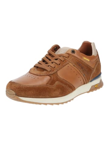 Camel Active Sneaker in Tan