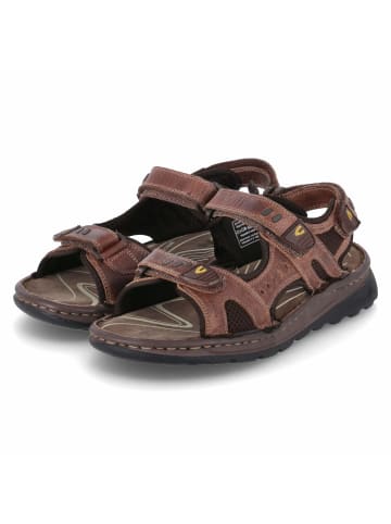 Camel Active Sandalen in Braun