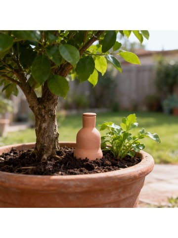 relaxdays 3 x Ollas in Terrakotta - 500 ml