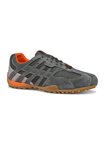 Geox Sneakers Low U Snake Orginal A in grau