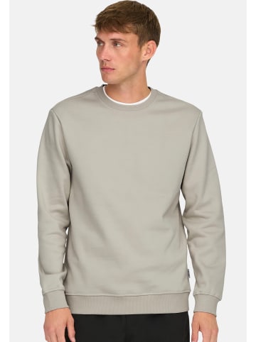 ONLY & SONS Sweatshirt Connor in Silver lining