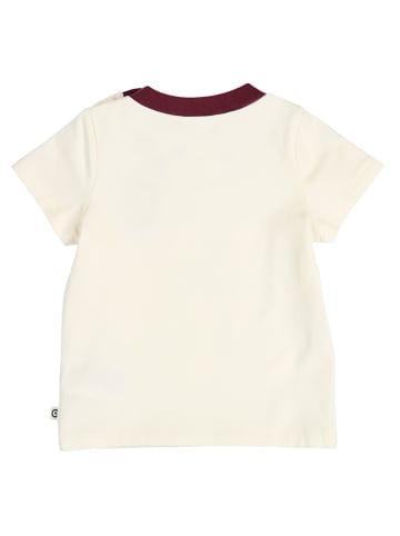 müsli Set 1586005000 in rot