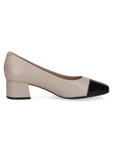 Caprice Pump in beige