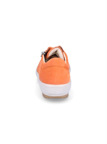 Legero Schnürschuh Tanaro 5.0 in Apricot