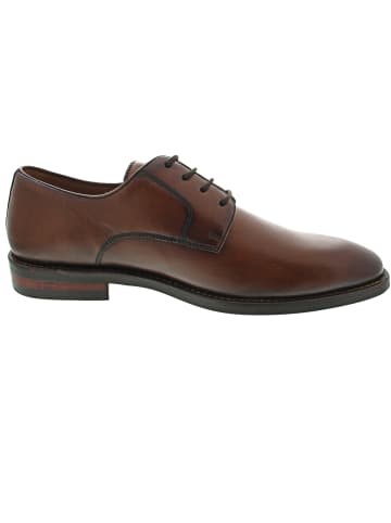 DIGEL Sean Business Schuh Braun
