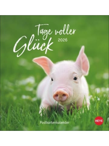 Heye Kalender Kalender - Tage voller Glück Postkartenkalender 2026