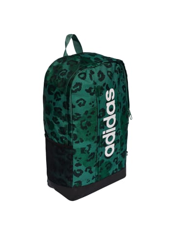 adidas Linear Graphics Backpack in Petrol