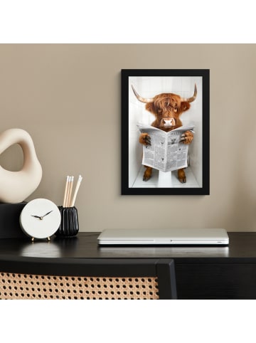 MuchoWow Poster mit Leiste Zeitung Schottisches Hochlandrind