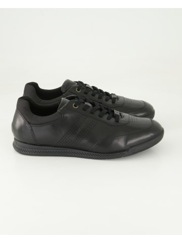 SALAMANDER Sneaker low in Schwarz
