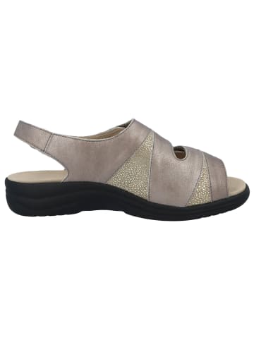 Solidus Sandalen für Damen in taupe