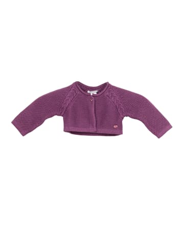 Tutto Piccolo Übergangsjacke in Purple