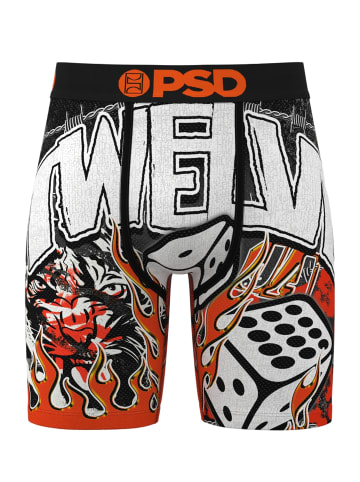 PSD underwear Boxershorts 'Ja Morant - Twelve Dice' in mehrfarbig