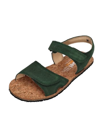 KOEL Sandalen ASHLEY  in braun