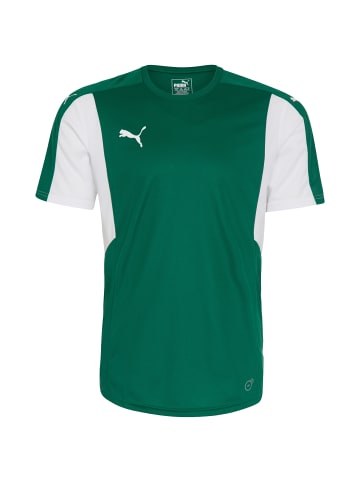 Puma Fußballtrikot Dominate in grün / weiß