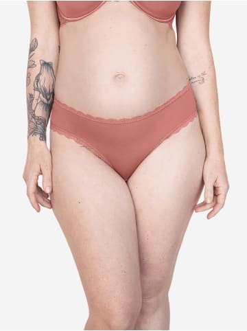 SugarShape String PUREBASIC in terra