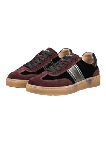 Nero Giardini Sneaker in Bordeaux