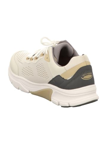 Pius Gabor Sportliche Schnürschuhe in Beige