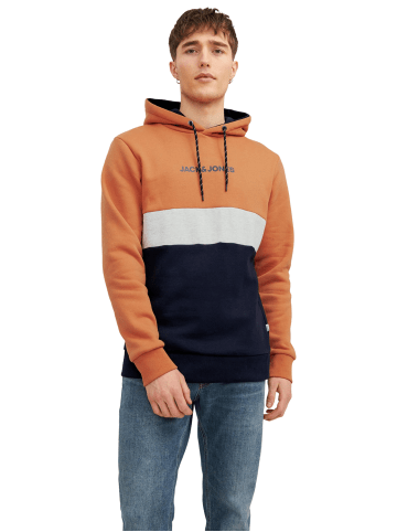 Jack & Jones Sweatshirt JJEREID BLOCKING in Mehrfarbig