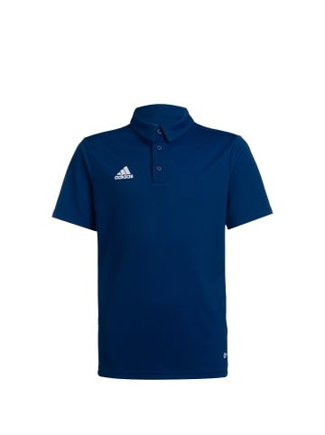 adidas Performance Poloshirt Entrada 22 in dunkelblau / weiß