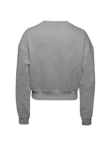 Hummel Sweatshirt Legacy Dacia in grau