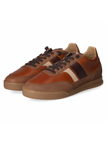Bullboxer Schnürschuh in brown