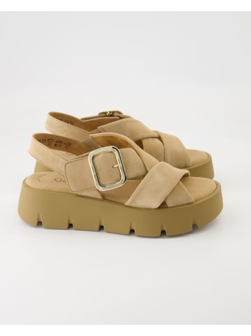 Gabor Plateau Sandalen in Beige