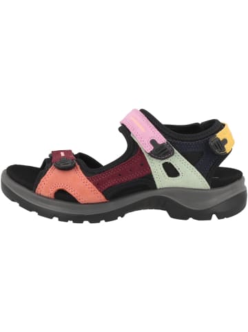 Ecco Sandale Offroad in multicolor