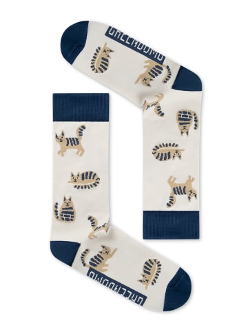 GreenBomb Socks Cats in Mix