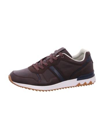 Bullboxer Sneaker in Braun