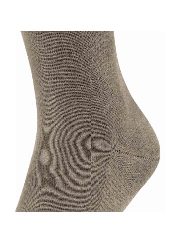 Falke Socken 3er Pack in Nuss Melange