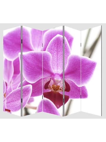 MCW Foto-Paravent Bagheria, 180x200cm, Orchidee