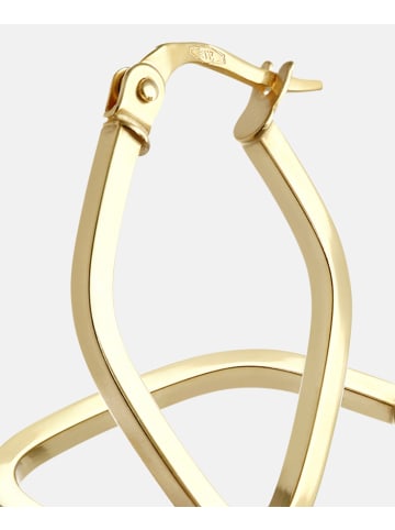 Vanlere Creolen aus 375 Gelbgold