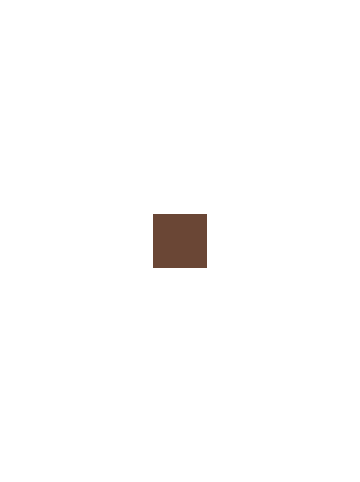 essence Foundation Stick - 350 -
