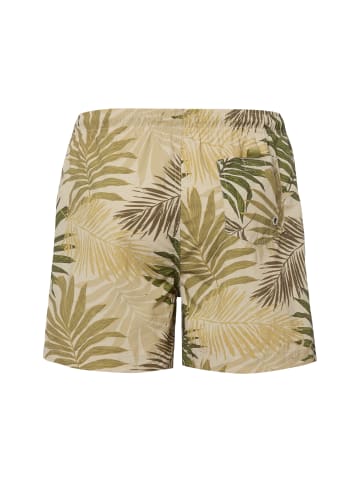 Nils Sundström Badeshorts in beige oliv - 0001