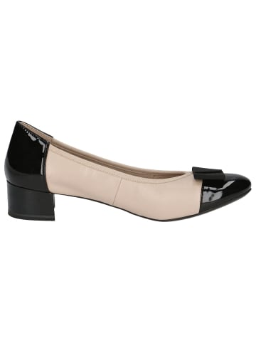 Caprice Pumps in BEIGE COMB