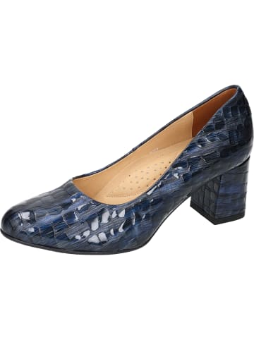 Piazza Klassische Pumps in navy