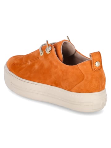 Paul Green Lowtop-Sneaker in orange