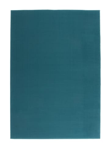 Kurzflor Teppich Pia 495 in Türkis