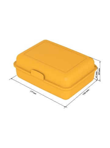 elasto Vorratsdose "School-Box" 1100 ml in blau - mit Motiv