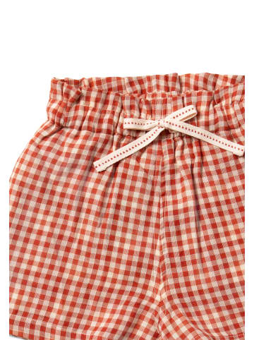 Little Green Radicals By The Sea Shorts in Red