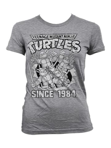 Teenage Mutant Ninja Turtles Shirt in Grau