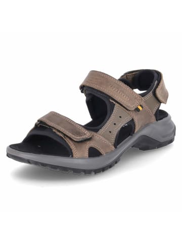 Beliano Sandalette in brown